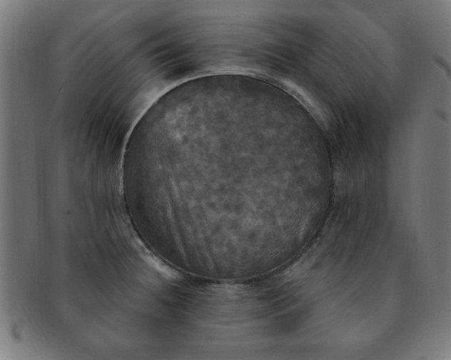 X0000091351236200708241239