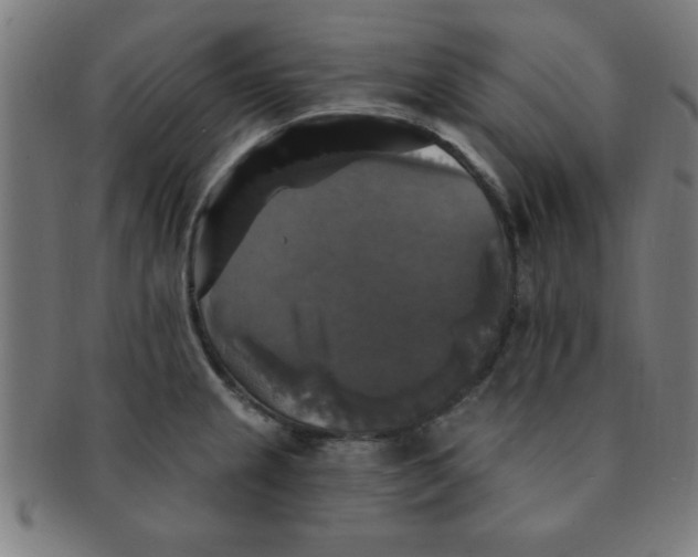 X0000091351237200708241239