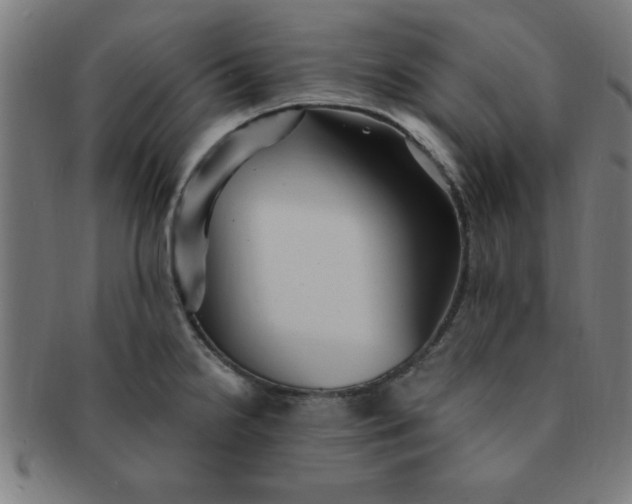 X0000091351238200708241239