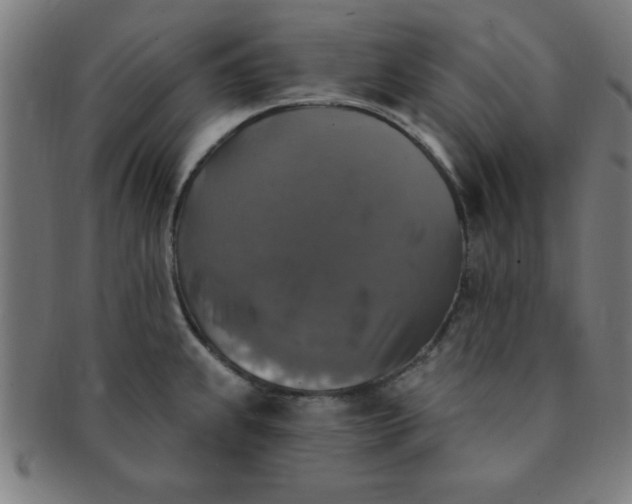 X0000091351239200708241239