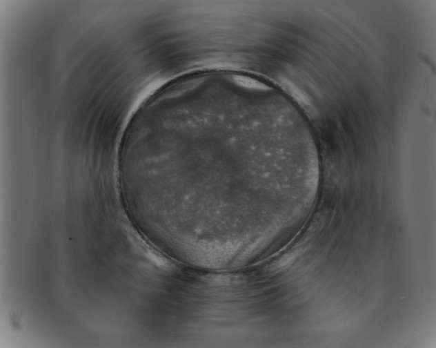 X0000091351240200708241239