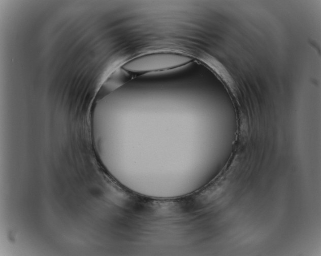 X0000091351242200708241239