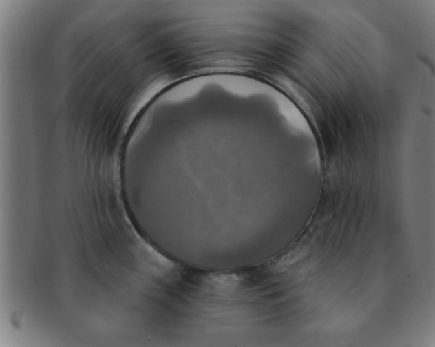 X0000091351243200708241239