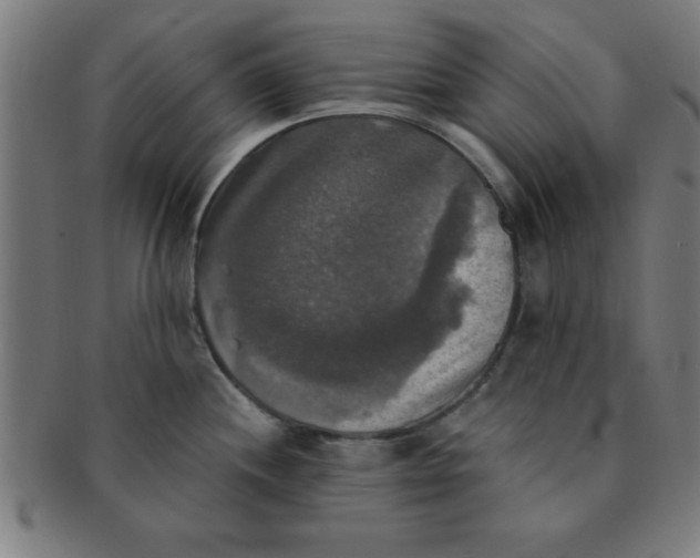 X0000091351244200708241239