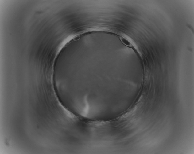 X0000091351245200708241239