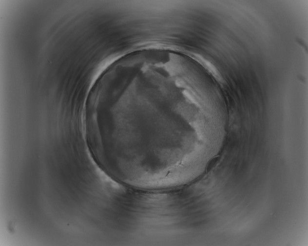 X0000091351247200708241239
