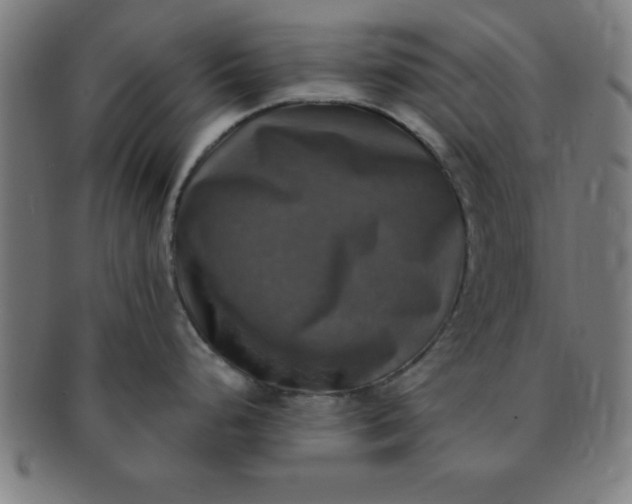 X0000091351248200708241239