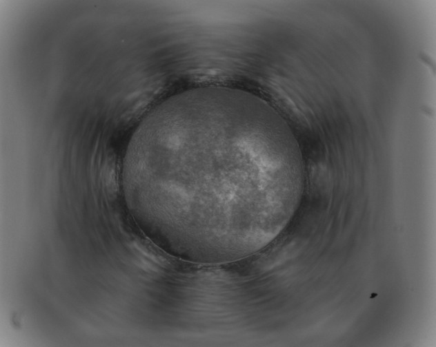 X0000091351250200708241238