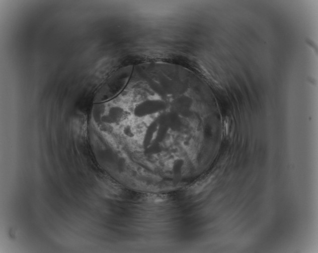 X0000091351251200708241238