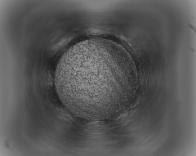 X0000091351253200708241238