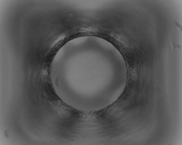 X0000091351254200708241238