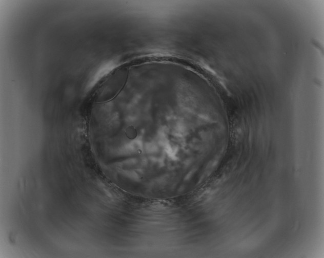 X0000091351255200708241238