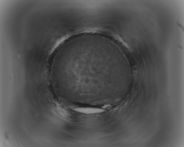 X0000091351256200708241238