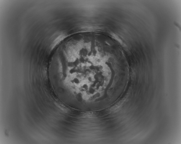 X0000091351259200708241238