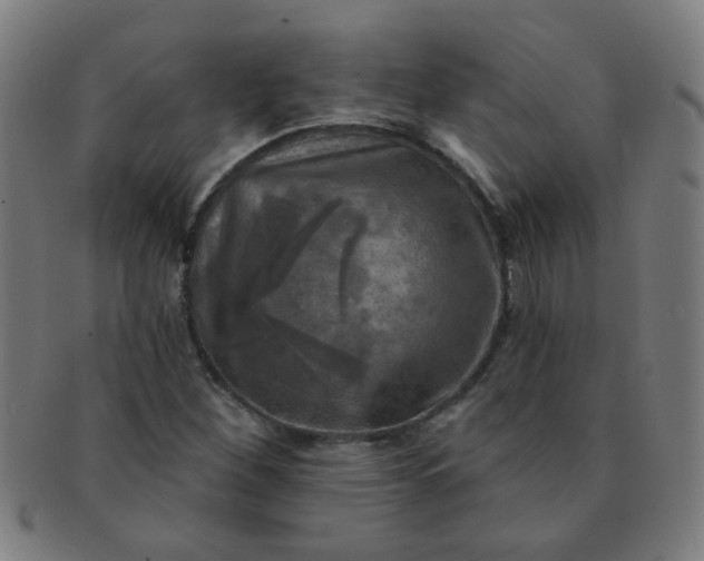 X0000091351260200708241238