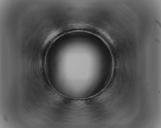 X0000091351261200708241238