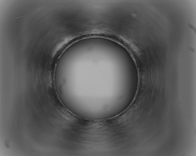 X0000091351262200708241238