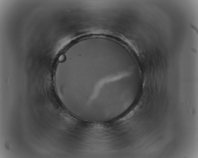 X0000091351263200708241238