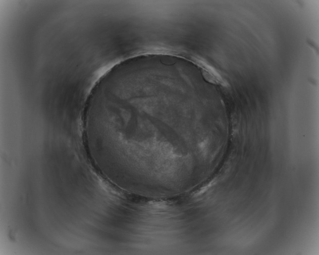 X0000091351264200708241238
