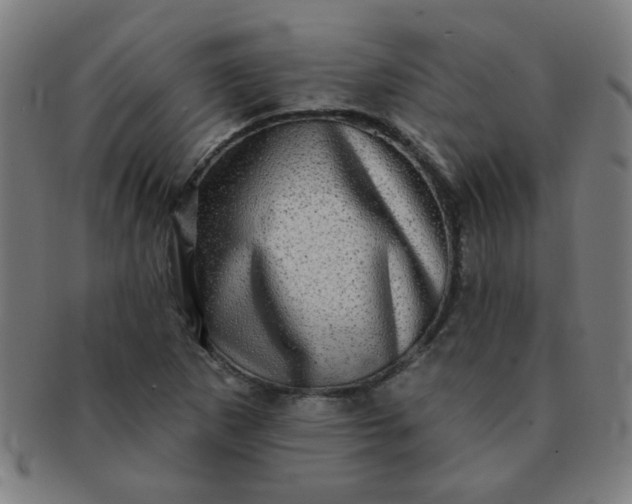 X0000091351265200708241238