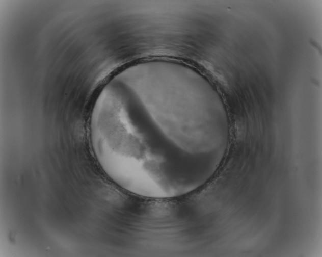 X0000091351266200708241238