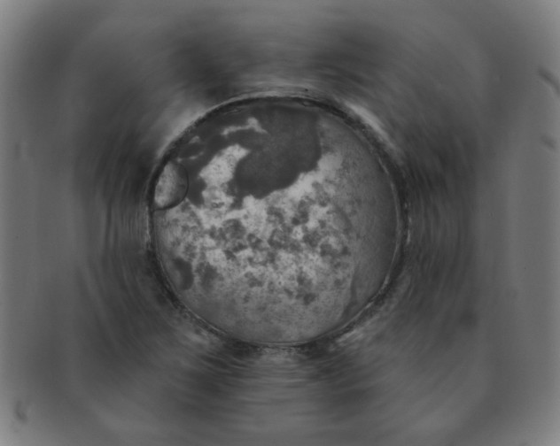 X0000091351267200708241238