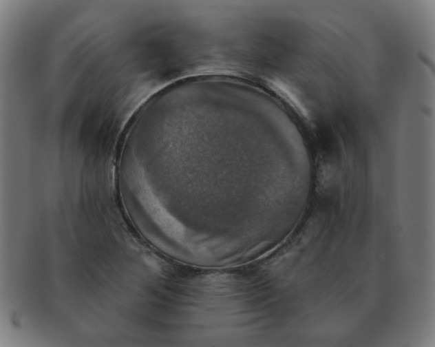 X0000091351268200708241238