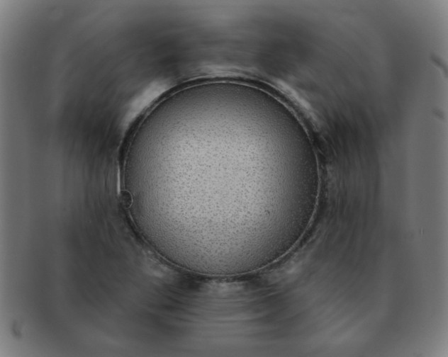 X0000091351269200708241238