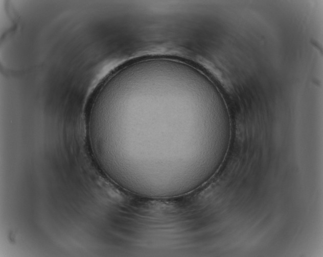 X0000091351270200708241238