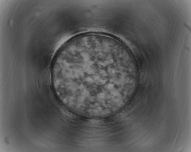 X0000091351271200708241238