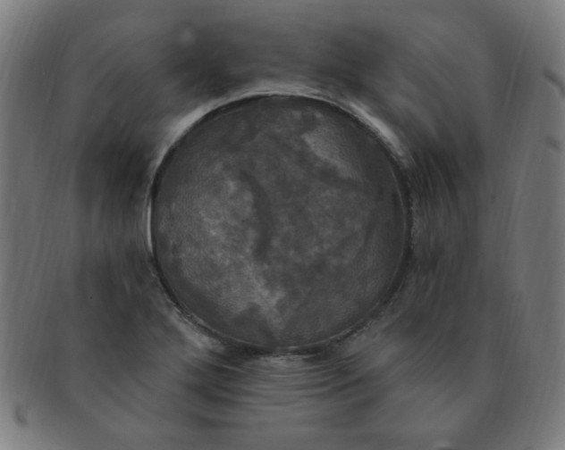 X0000091351272200708241238