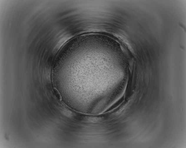 X0000091351273200708241238