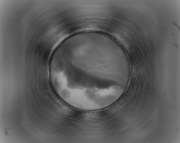 X0000091351274200708241238