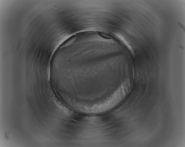 X0000091351276200708241238
