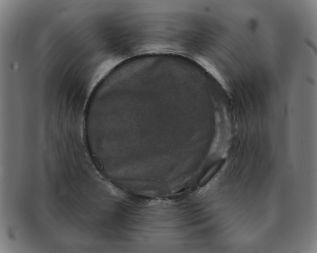 X0000091351277200708241238