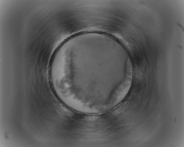 X0000091351278200708241238
