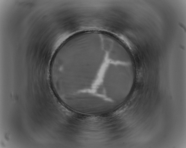 X0000091351279200708241238