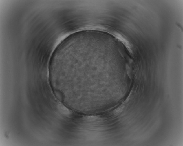 X0000091351280200708241238