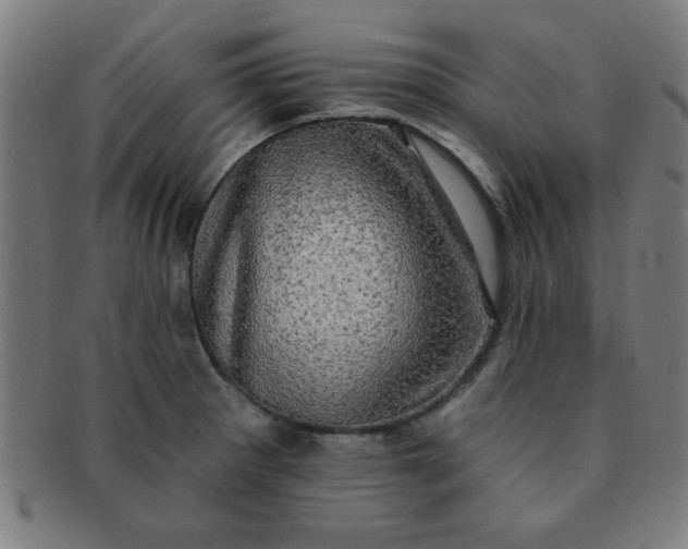 X0000091351281200708241238