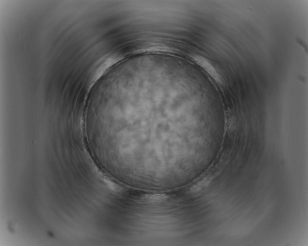 X0000091351282200708241238