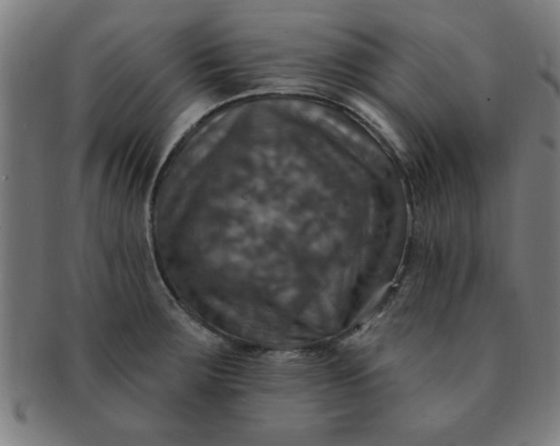 X0000091351283200708241238