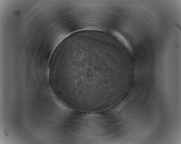 X0000091351284200708241238