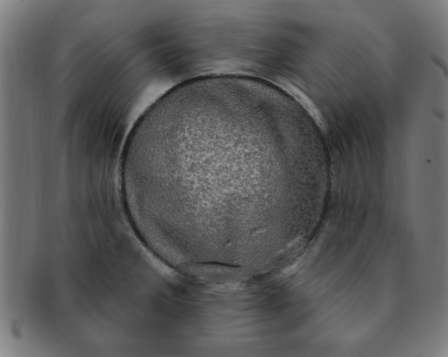 X0000091351285200708241238
