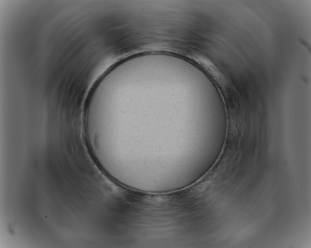 X0000091351286200708241238
