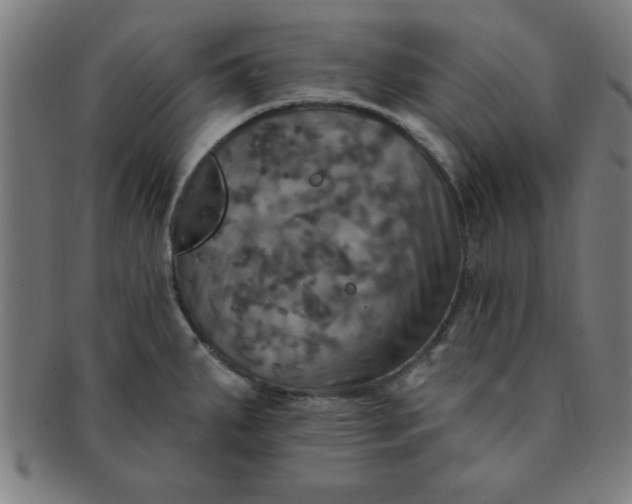 X0000091351287200708241238