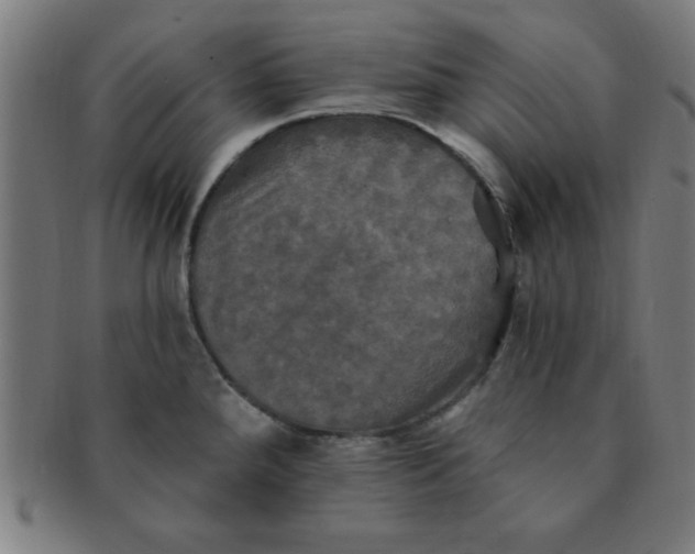 X0000091351288200708241238