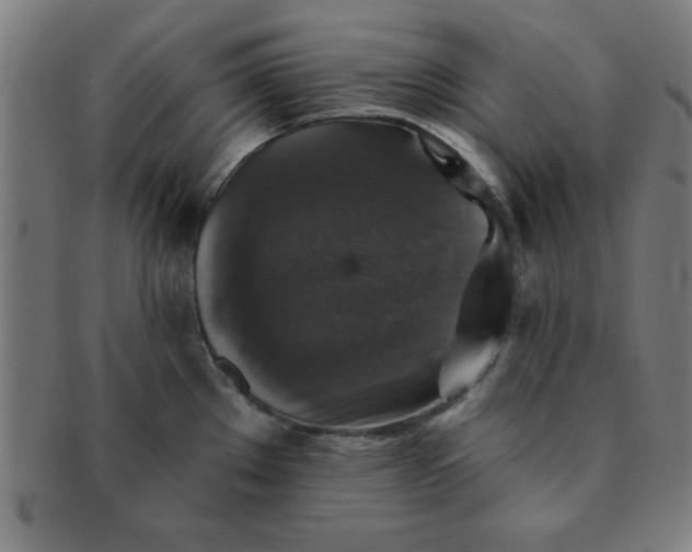 X0000091351289200708241238