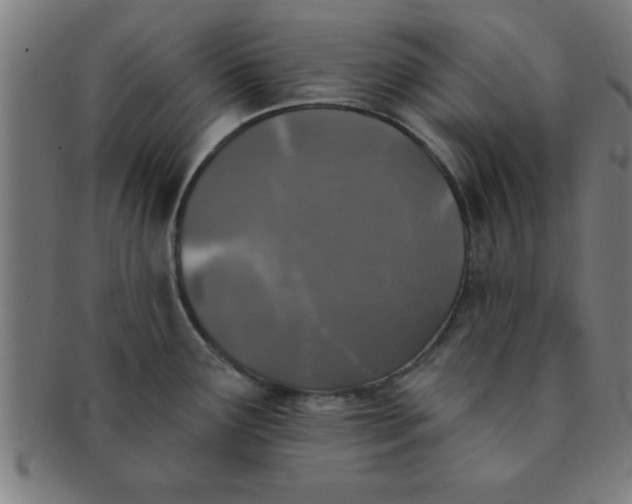 X0000091351291200708241238