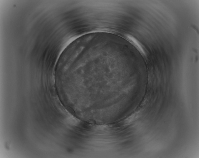 X0000091351292200708241238