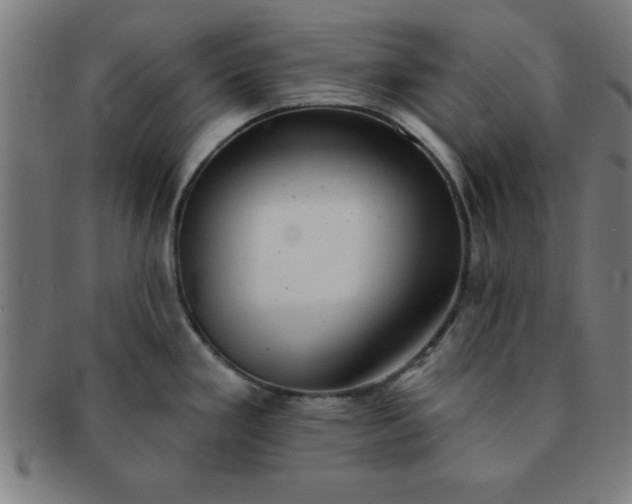 X0000091351293200708241238